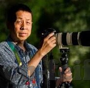 哥斯达黎加足球比分-哥斯达黎加足球，绿茵场上的坚韧传奇与比分背后的热血故事