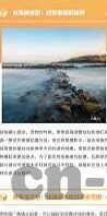 足球反比分系统-揭秘足球反比分系统,数据背后的博弈与智慧
