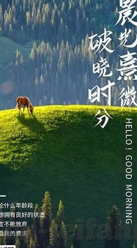 足球赛事即时比分-实时掌握绿茵脉搏,足球赛事即时比分——球迷的数字心跳